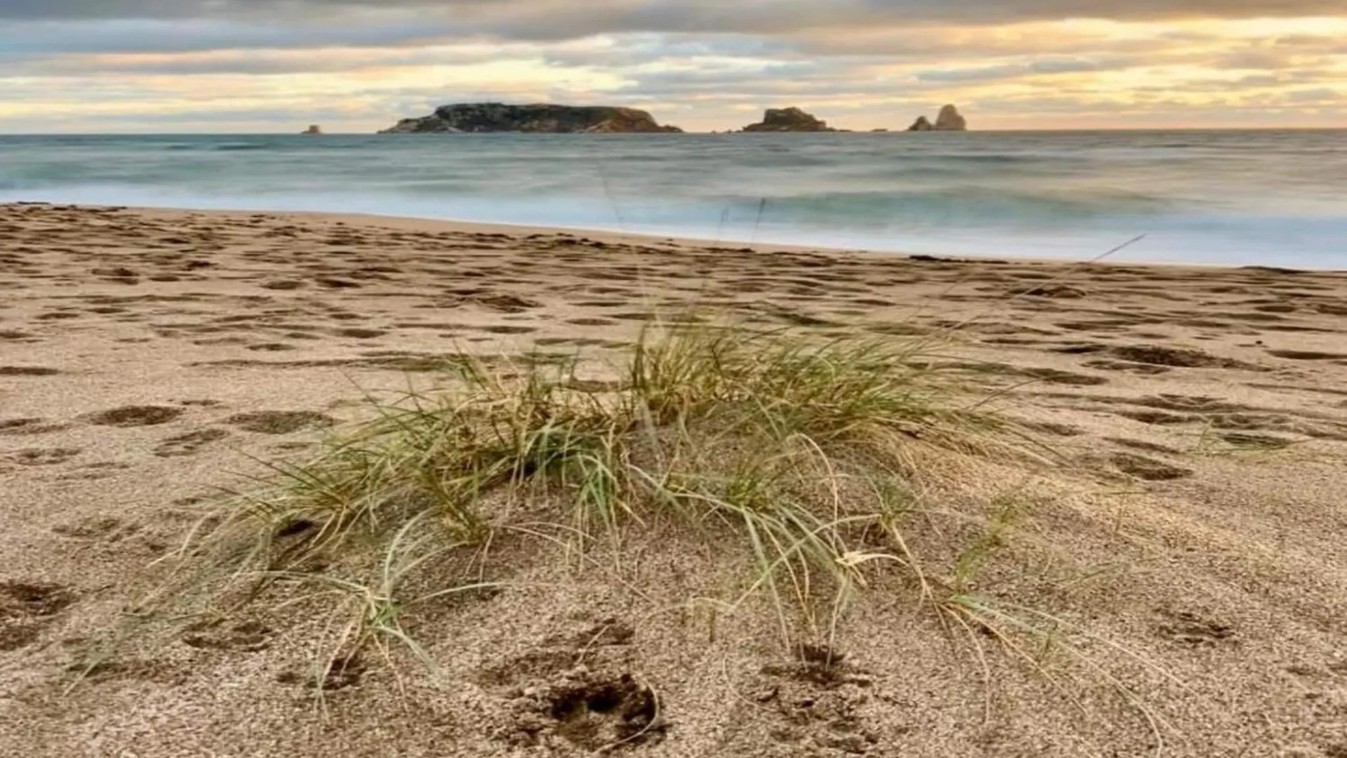 Appartamento Jardins Del Mar 132 L'Estartit Spagna